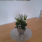 Sonnenschein Appartement *