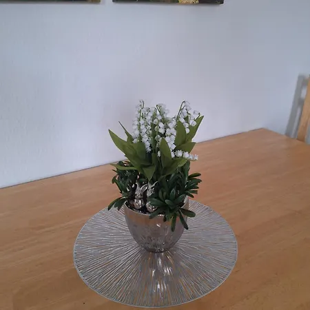 Sonnenschein Appartement *