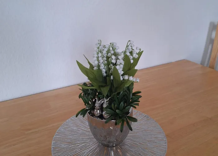 Sonnenschein Apartament *